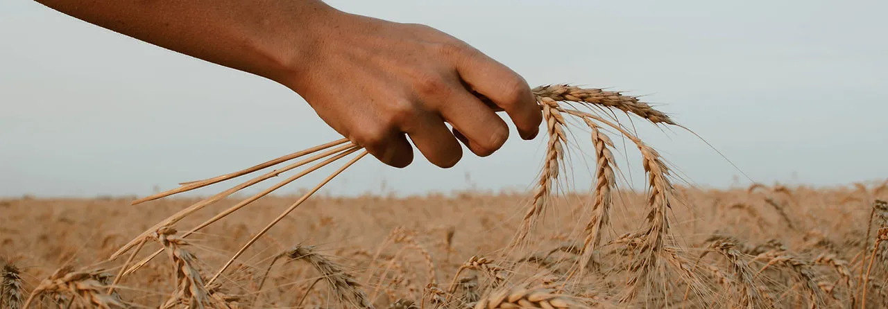 Auf zu einem Leben im Überfluss